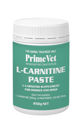 PrimeVet™ L-Carnitine Paste for Horses and Dogs 250g